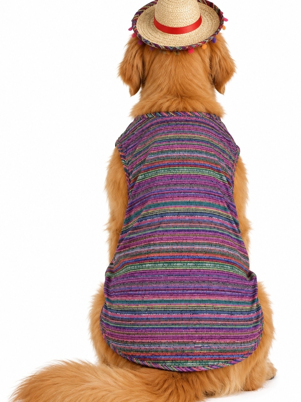 Poncho Dog Costume Xl